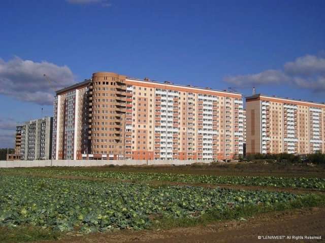 Квартал  Дубки. Московская обл., Ступино, Куйбышева ул., 5