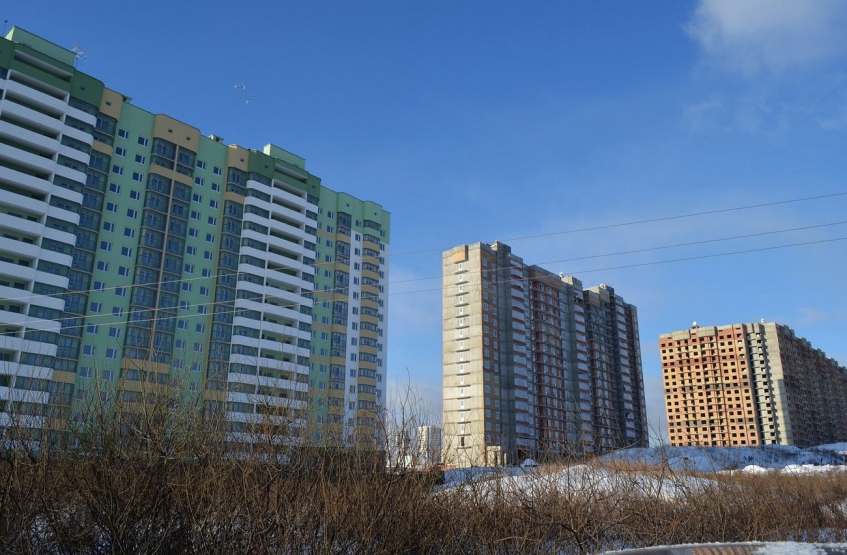 Мкр. Город Счастья. Московская обл., Домодедово, Рябиновая ул.