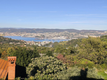 ��������  ����, �����, ��������