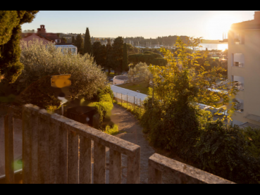 �������� �������� ����, �����, ��������