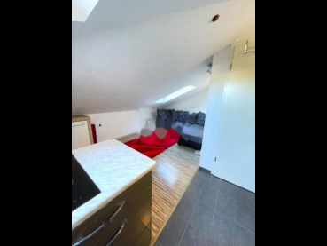 �������� ����� ��������, �����������