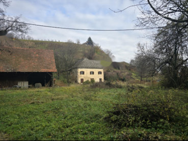 ��������  ����, �����, ��������